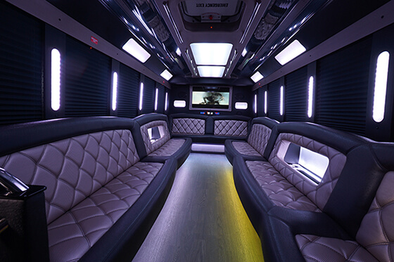 party bus led lights